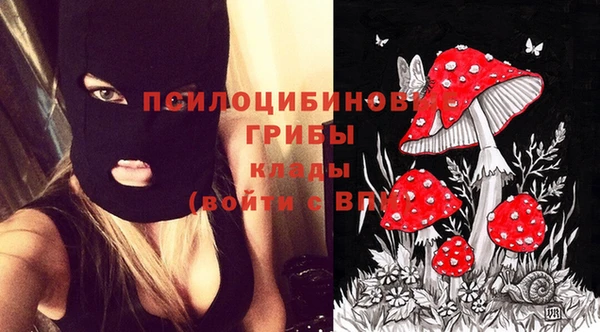 гашик Киреевск