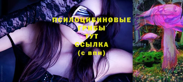 твердый Кинешма