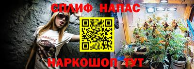 гидра Нарткала