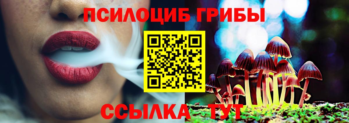 Псилоцибиновые грибы ЛСД Нальчик